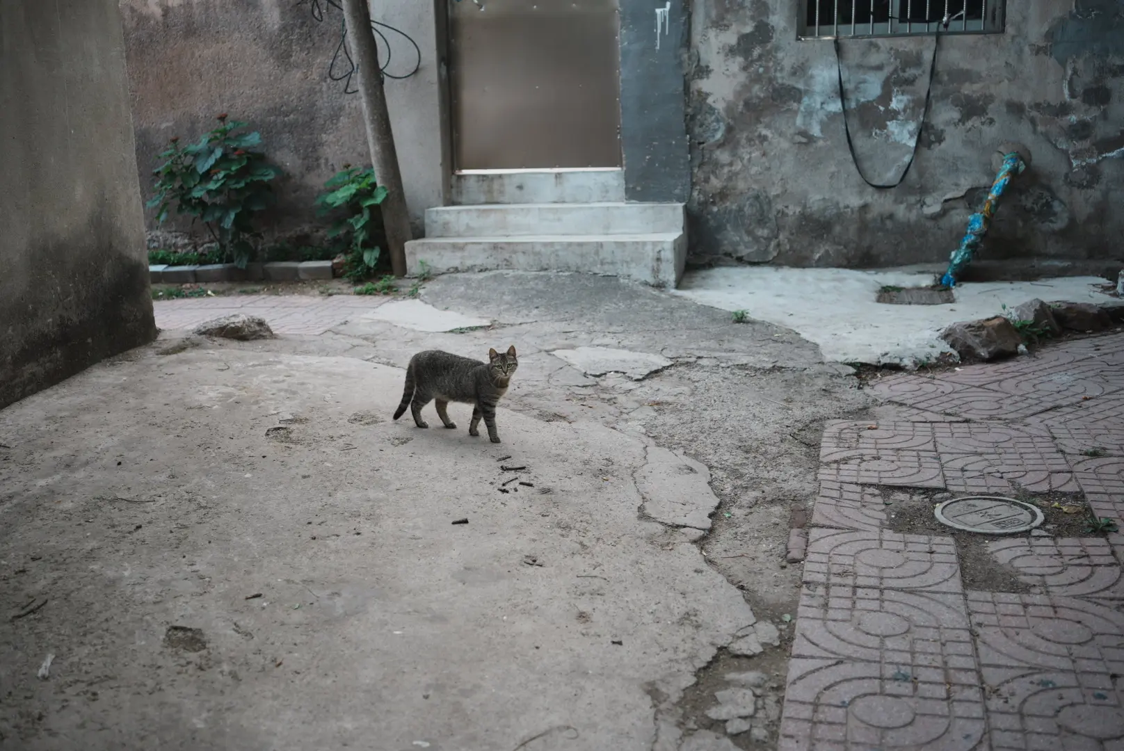 HDK06300-dk-compressed.webp