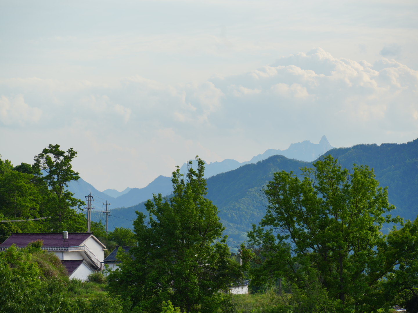 HDK09300.JPG