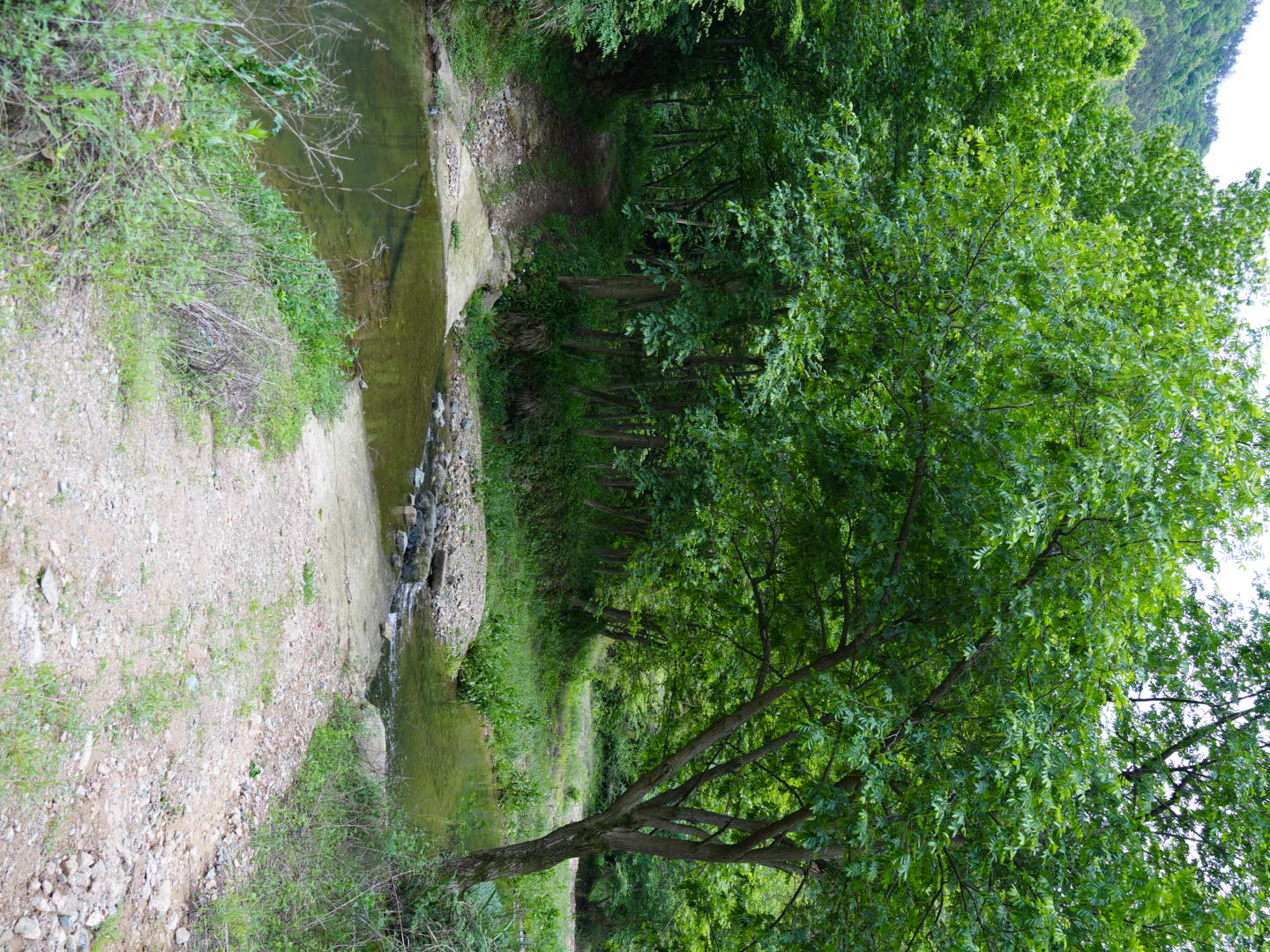 HDK09337.JPG