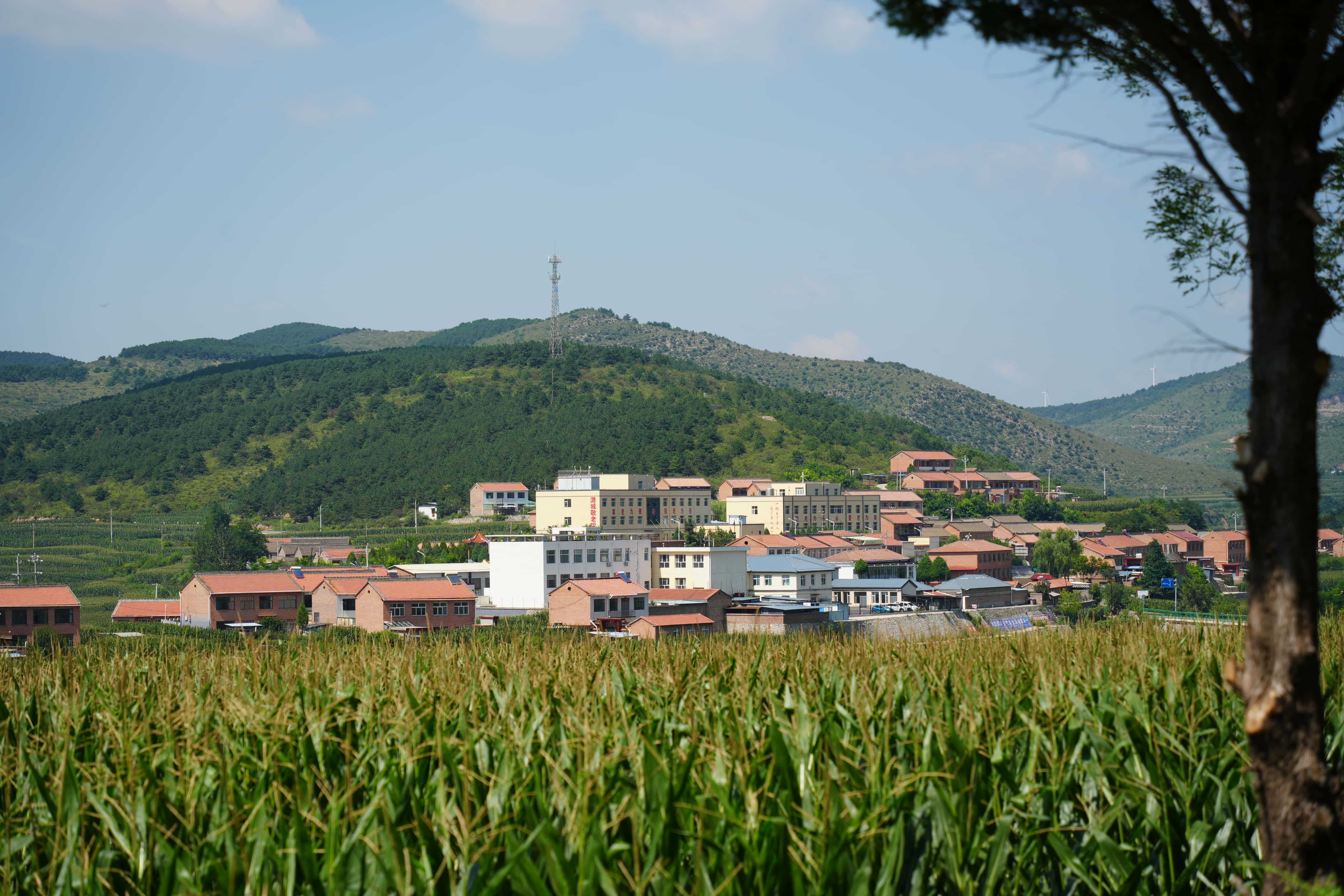 HDK00252_compressed.jpg