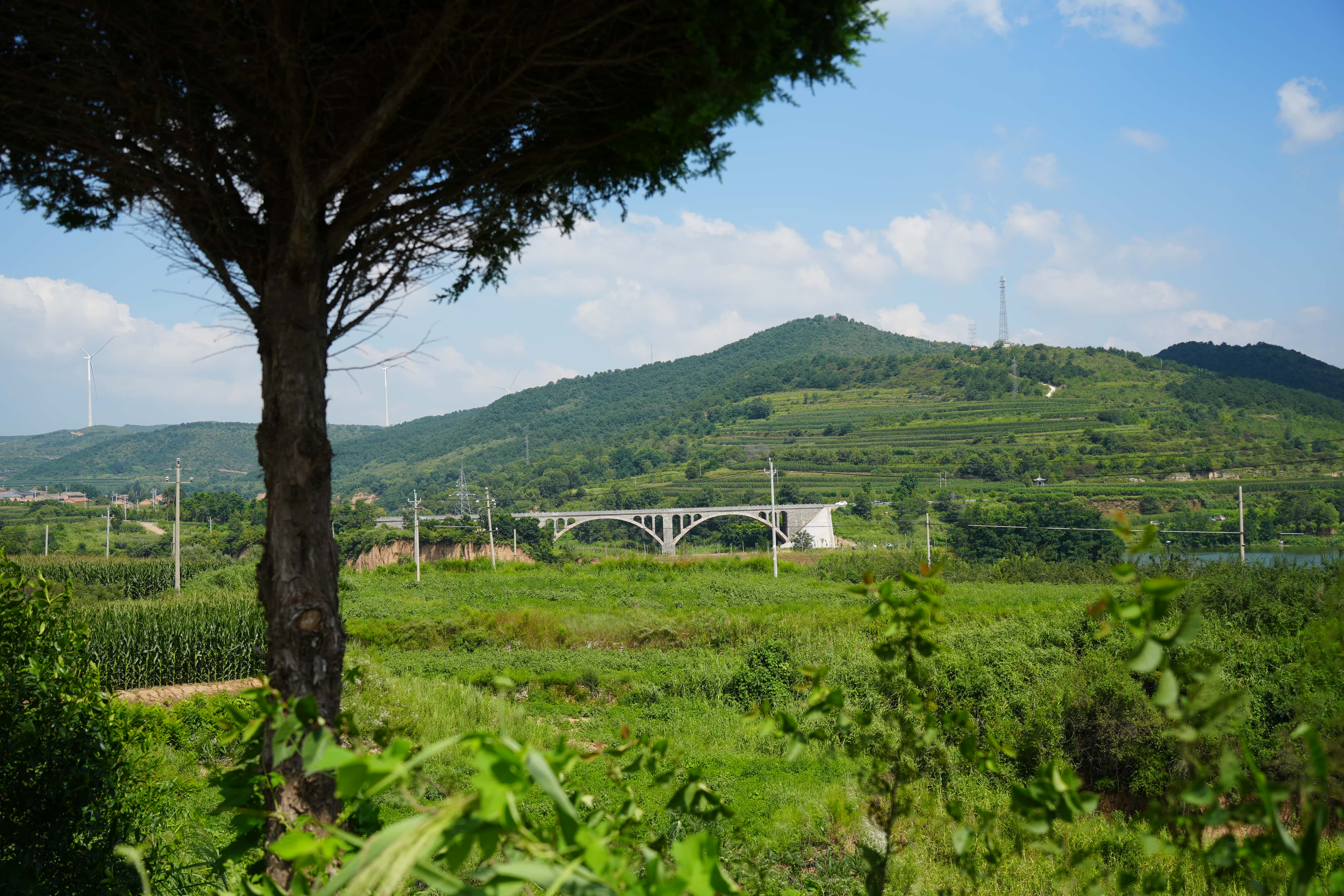 HDK00254_compressed.jpg