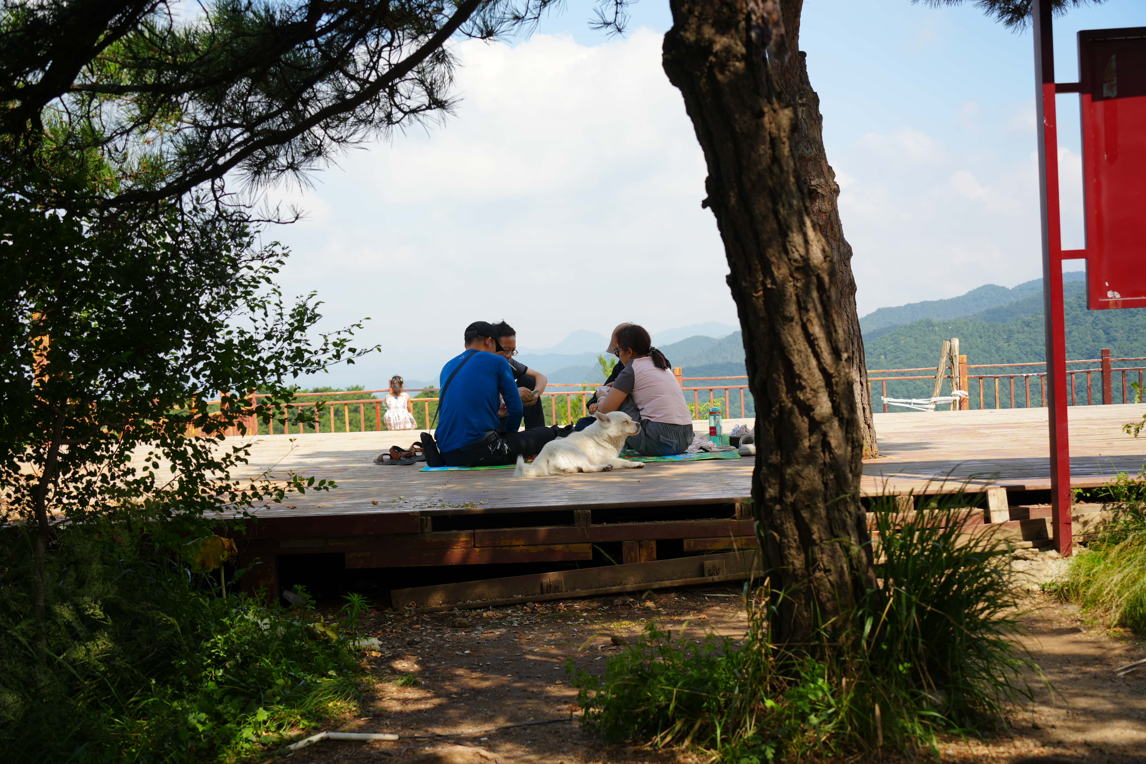 HDK00259_compressed.jpg