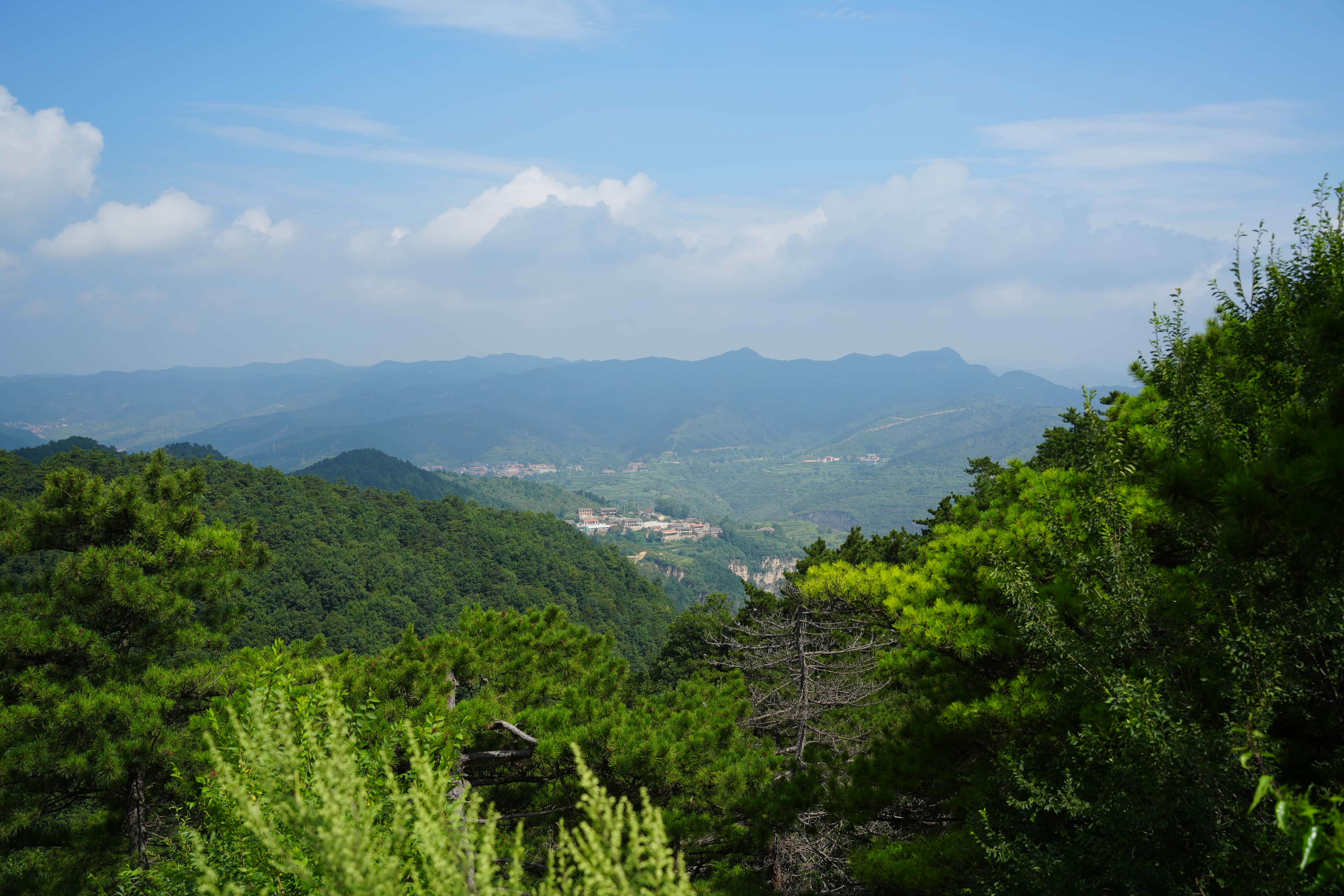 HDK00280_compressed.jpg