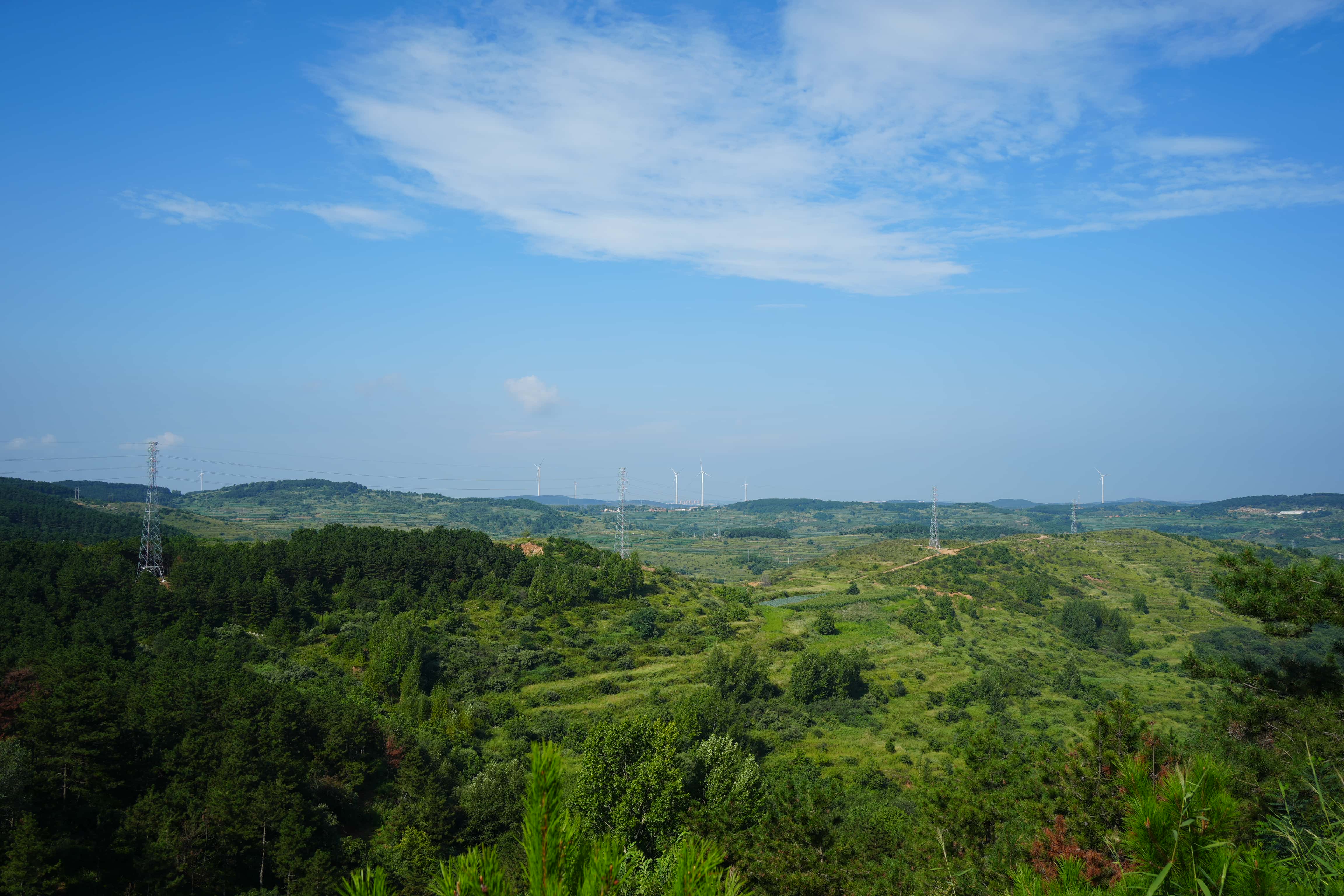HDK00268_compressed.jpg